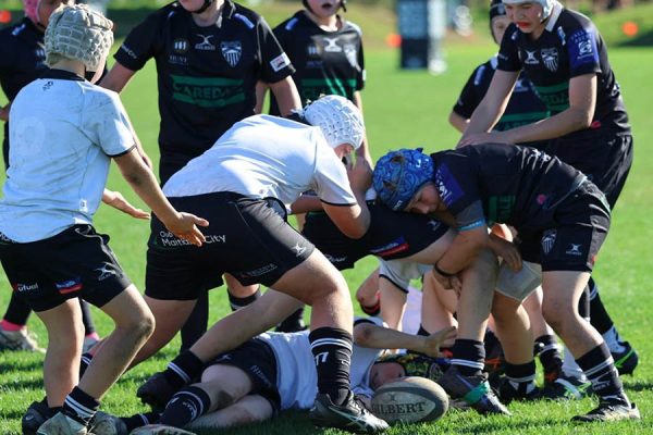 Junior Rugby
